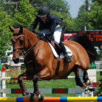 Margie Goldstein Engle - Equestrian Sport
